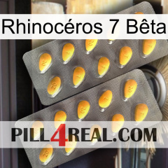 Rhinocéros 7 Bêta cialis2